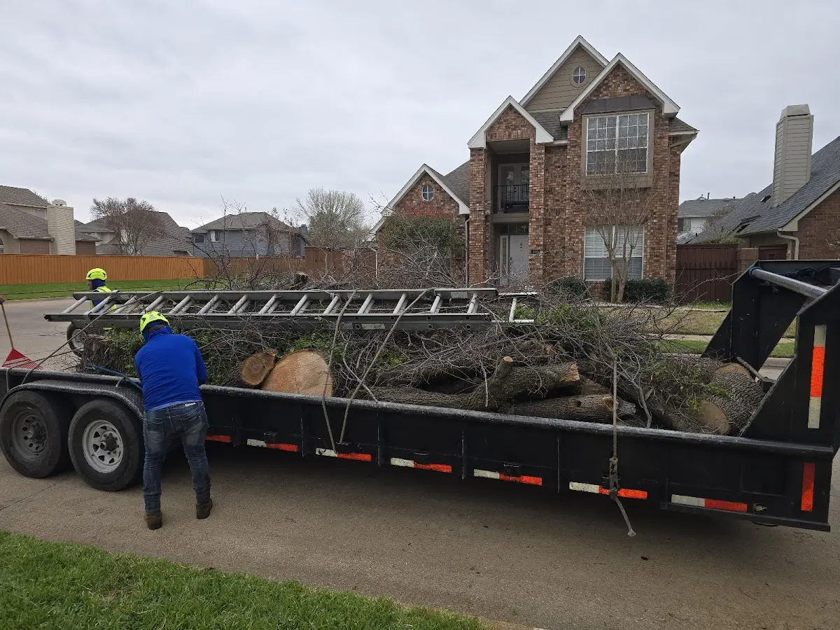 Expert Lot Clearing with proper safety equipment in Bracey